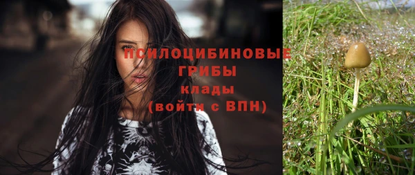 гашик Абдулино