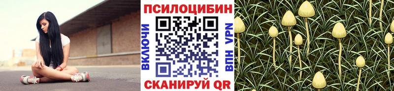 Галлюциногенные грибы мицелий  Чулым 